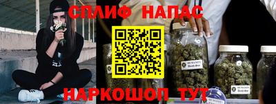 стаф Можга