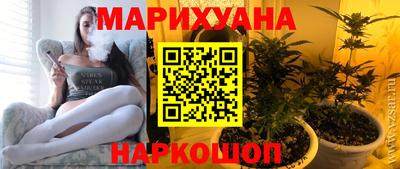 стаф Можга