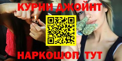 стаф Можга