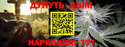 стаф Можга