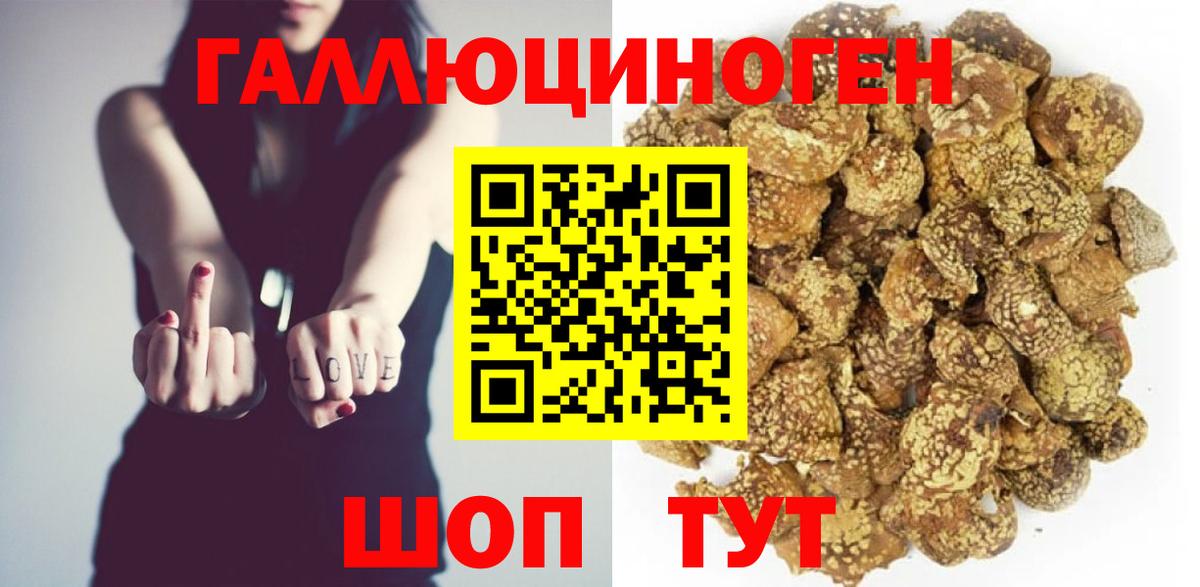 Галлюциногенные грибы MAGIC MUSHROOMS Находка