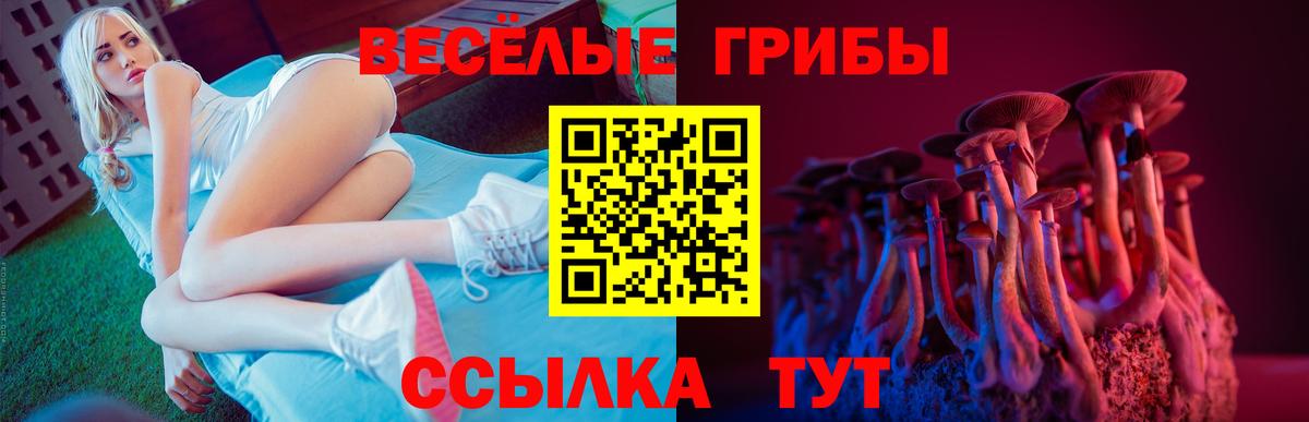 Галлюциногенные грибы Cubensis  Вход с VPN  Находка 